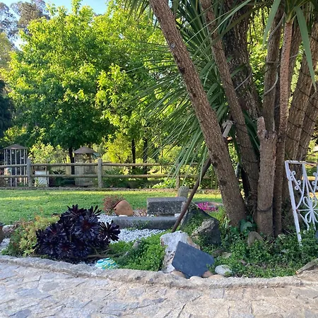 Casa Fontes O Tocano