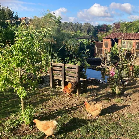 Casa Fontes O Tocano 홀리데이파크 Valega