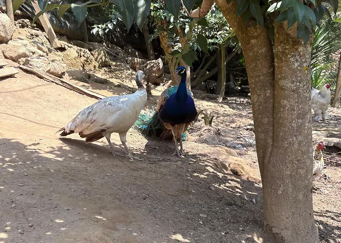 Casa Fontes O Tocano База отдыха Valega