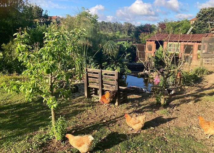 Casa Fontes O Tocano База отдыха Valega