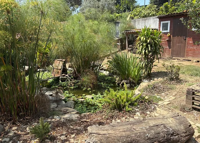 Casa Fontes O Tocano * Valega