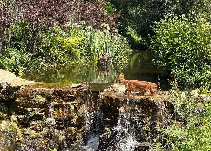 Casa Fontes O Tocano База отдыха *